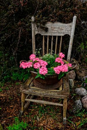 Competition entry: A CHAIR FOR THE FLOWERS