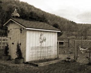 Competition entry: The Old Rooster Shed