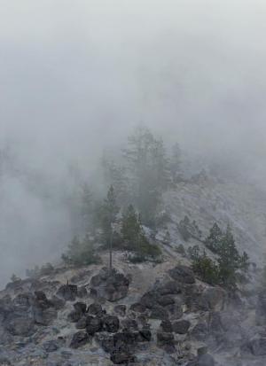 Competition entry: Fog In Yellowstone