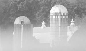Competition entry: Silos