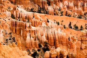 Competition entry: Bryce Canyon