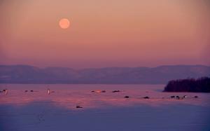 Competition entry: Moonset on Lake Onalaska