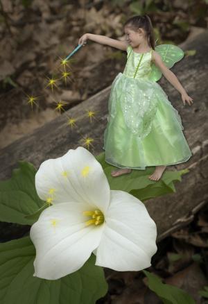 Competition entry: Spring Fairy
