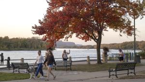 Competition entry: What do you like to do at the park?