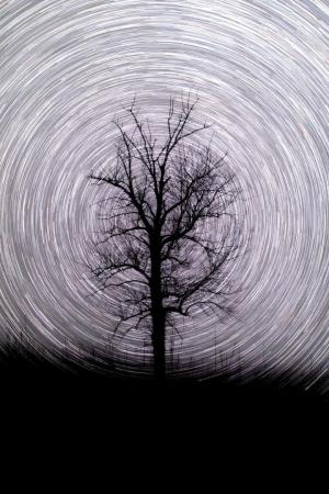 Competition entry: Star Trails