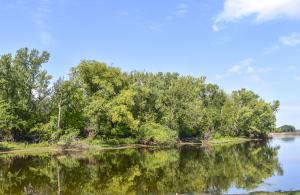 Competition entry: Summer Reflections