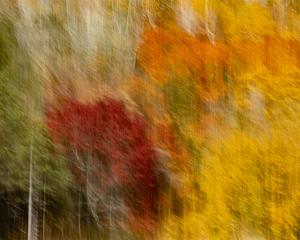 Competition entry: Hillside of color
