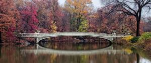Competition entry: Bow Bridge Central Park NYC