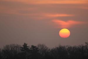Competition entry: Red sky in the Morning