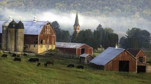 Competition entry: Coon Valley