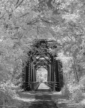 Competition entry: Lytle's Landing