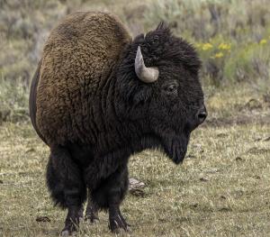 Competition entry: Looking at YOU