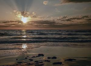 Competition entry: Siesta Key sunset