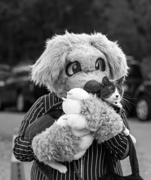 Competition entry: White Paws