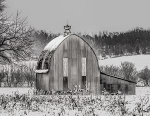 Competition entry: Harris Road Gothic Barn