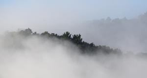 Competition entry: Foggy mountain