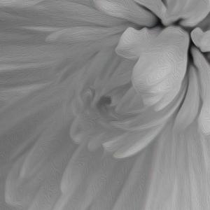 Competition entry: White on White