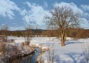 Competition entry: Winter in the Country