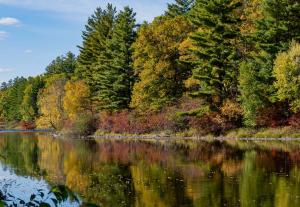 Competition entry: Fall on the Flambeau