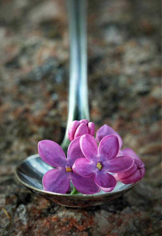 Maker: Kristi Olson Entered in: 2012 January Competition - A Prints Score: 38 points  1st PlaceJudge's comments: Good impact and great color; good reflection on underside of spoon; could use a little more depth of fieldMaker's comments: 