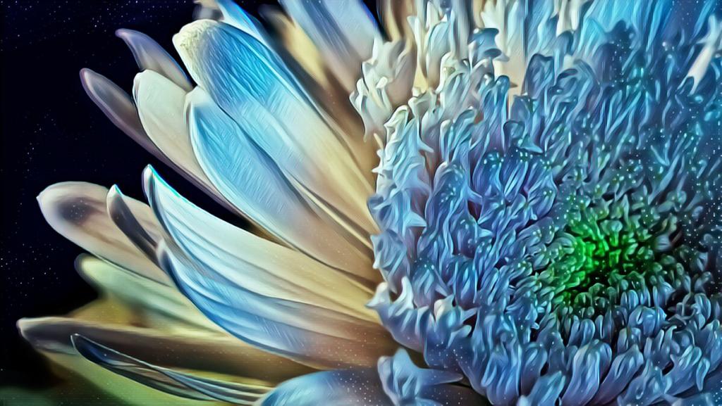 Maker: Rachel Teske Entered in: 2018 February Competition - A Creative Score: 36 points  1st PlaceJudge's comments: Great colors; nice crop; beautiful imageMaker's comments: Used a “sketch” effect and saturation changes on flower and white spots to make this look like something in outer space!