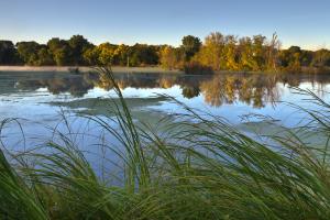 Looking out into Myrick park marsh with grass in the foreground then water then trees in the distance.