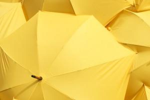 A group of open yellow umbrellas photographed from above.