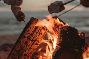 Three sticks of marshmallows toasting over a log fire on the beach.