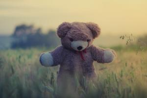 Teddy bear in a field.