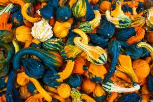 A pile of colorful gourds.