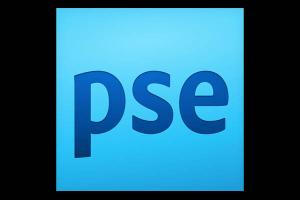 PSE logo