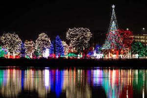 Rotary Lights taken from Pettibone Park