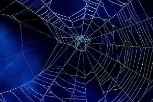 Spider web on blue