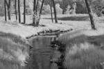 Competition entry: Infrared Stream #6