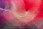 Competition entry: Flowing Scarves