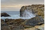 Competition entry: Point Lobos State Natural Reserve,  California